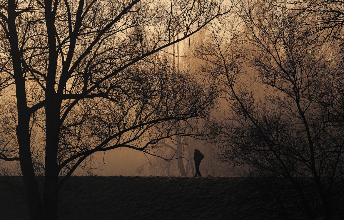 A person silouhette in a foggy sunrise park