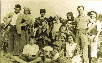 http://www.knezevi-vinogradi.hr/forum/viewtopic.php?id=9&p=2