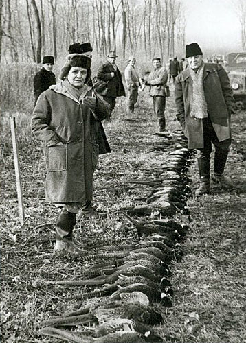 Magyar vonatkozású tanulmány az Österreichische Zeitschrift für Geschichtswissenschaften (ÖZG) hasábjain