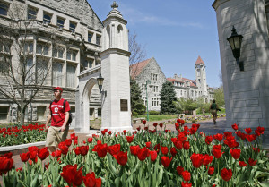 sample gates w tulips 300x209