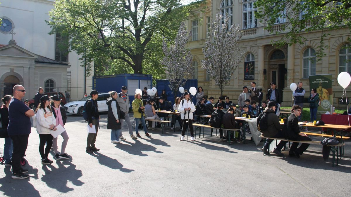 Király(i) Sopron vetélkedő Pálffy Géza zsűrielnöklésével